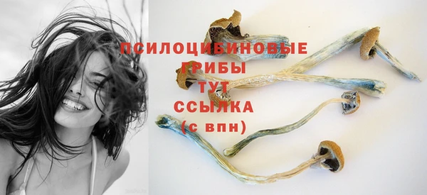 гидропоника Белоозёрский